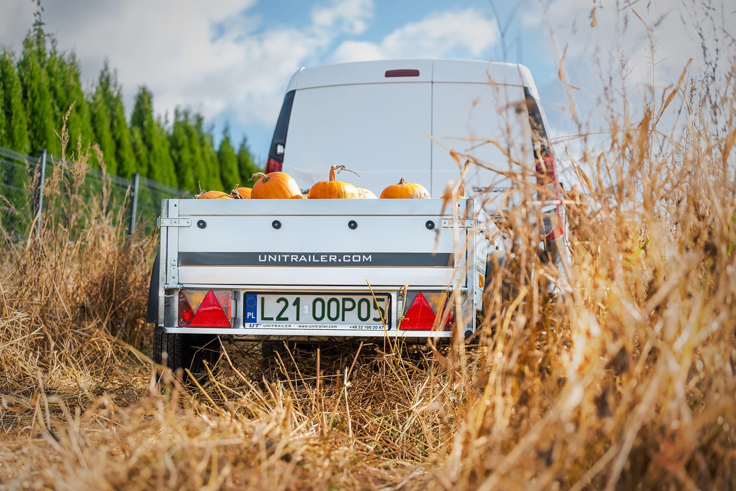 ger_pl_Kleiner-Anhanger-Garden-Trailer-150-KIPP-150×106-cm-750kg-4044_20
